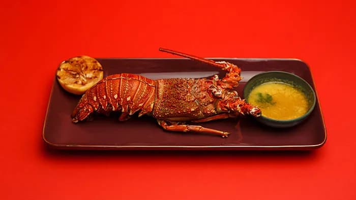 Lobster