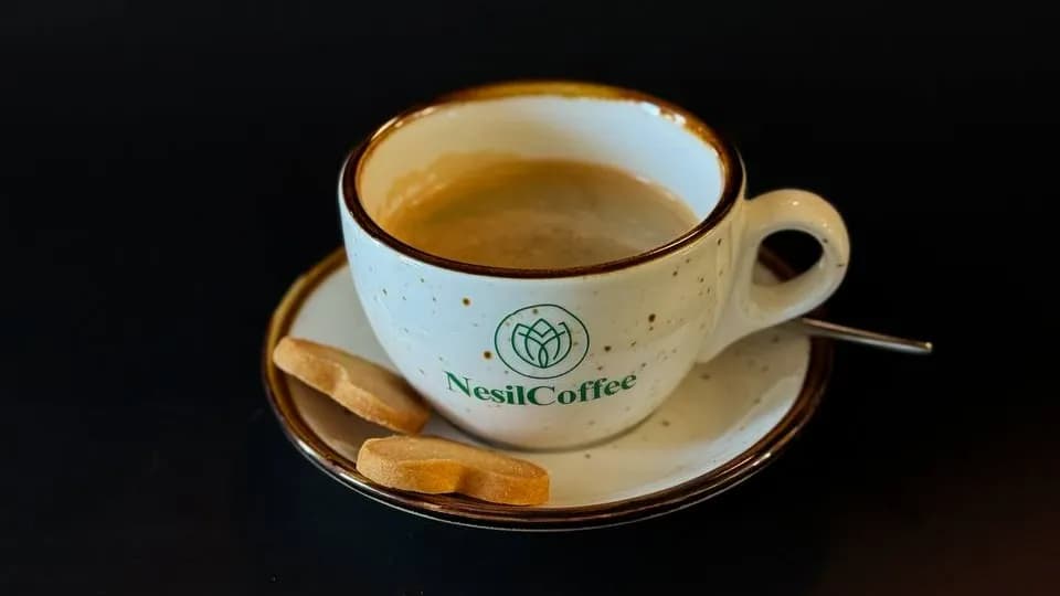 Lungo