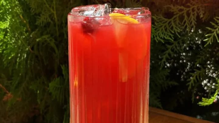 Çerkez limonad-köpürjik sakgyjy