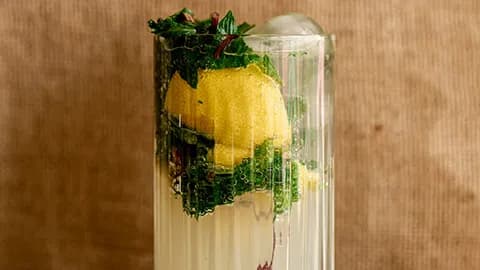 Mohito