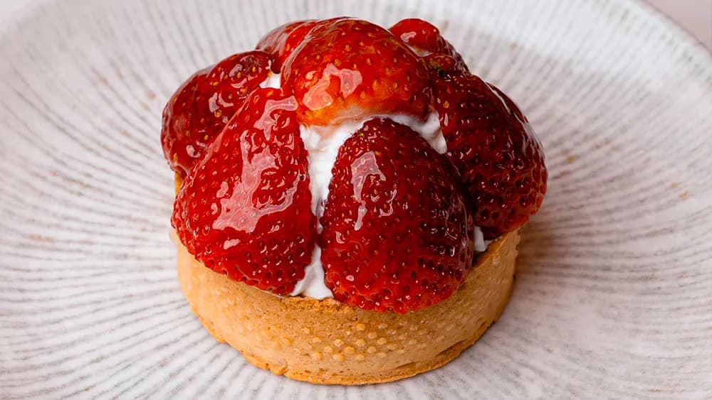 Tart ýertudana