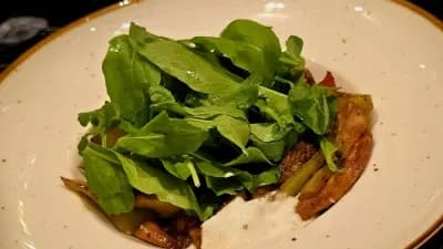 Gyzgyn kombo salat