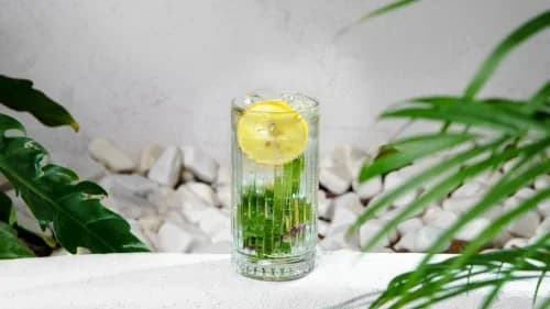 Klassiki mohito